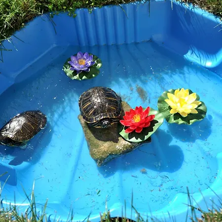 Tomislav 2 아파트 *